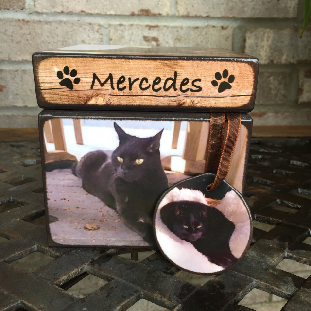 affordable pet urns for cats