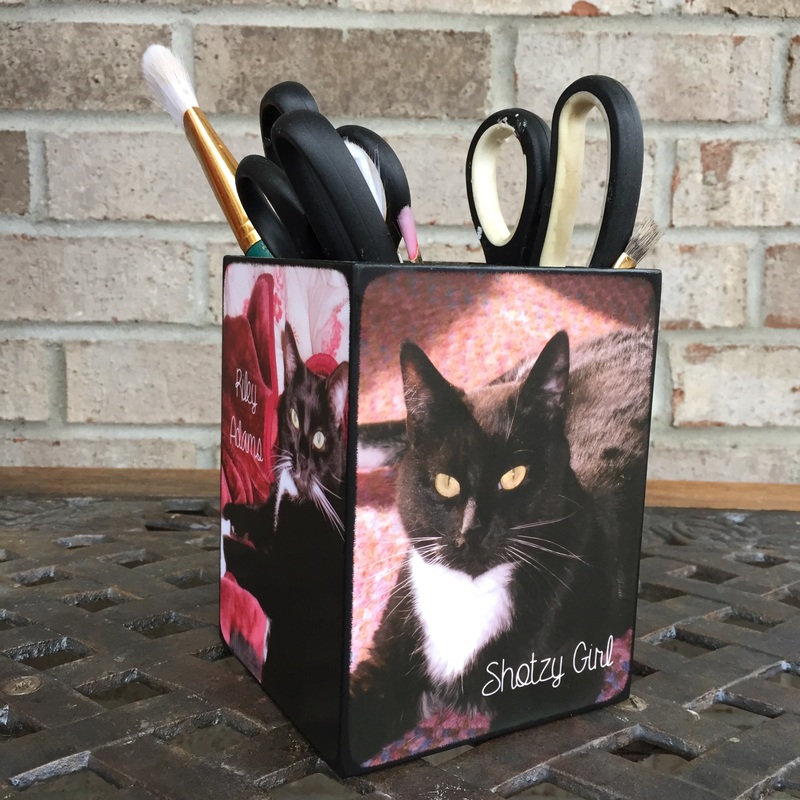 cat owner gifts