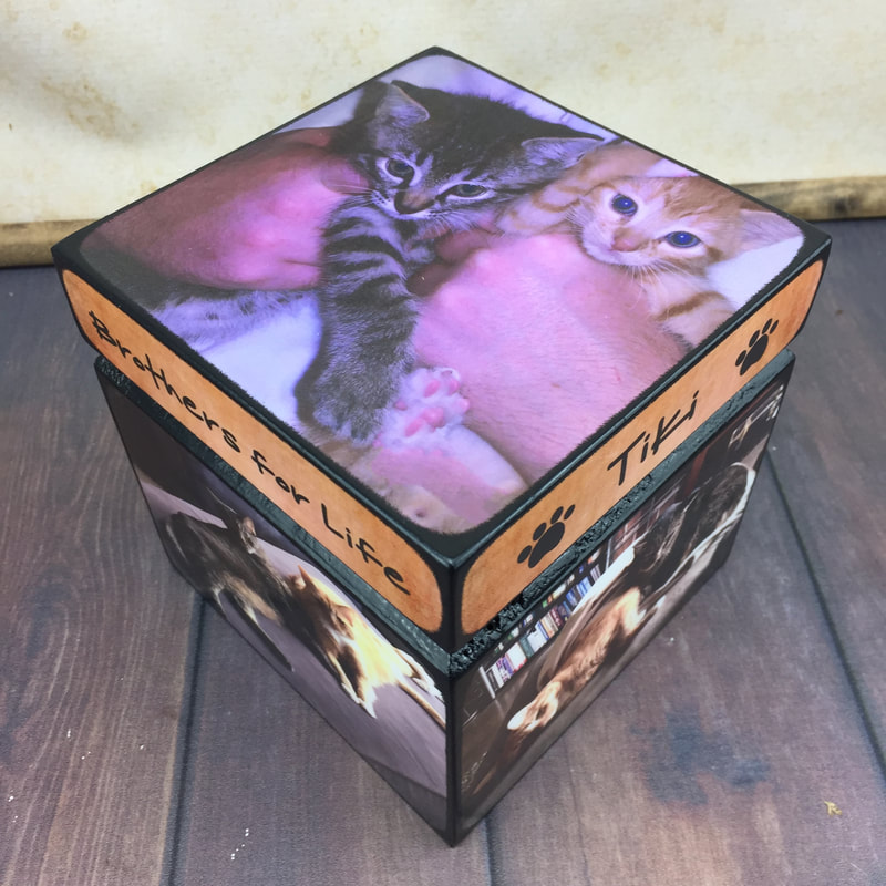 cat urn with picture