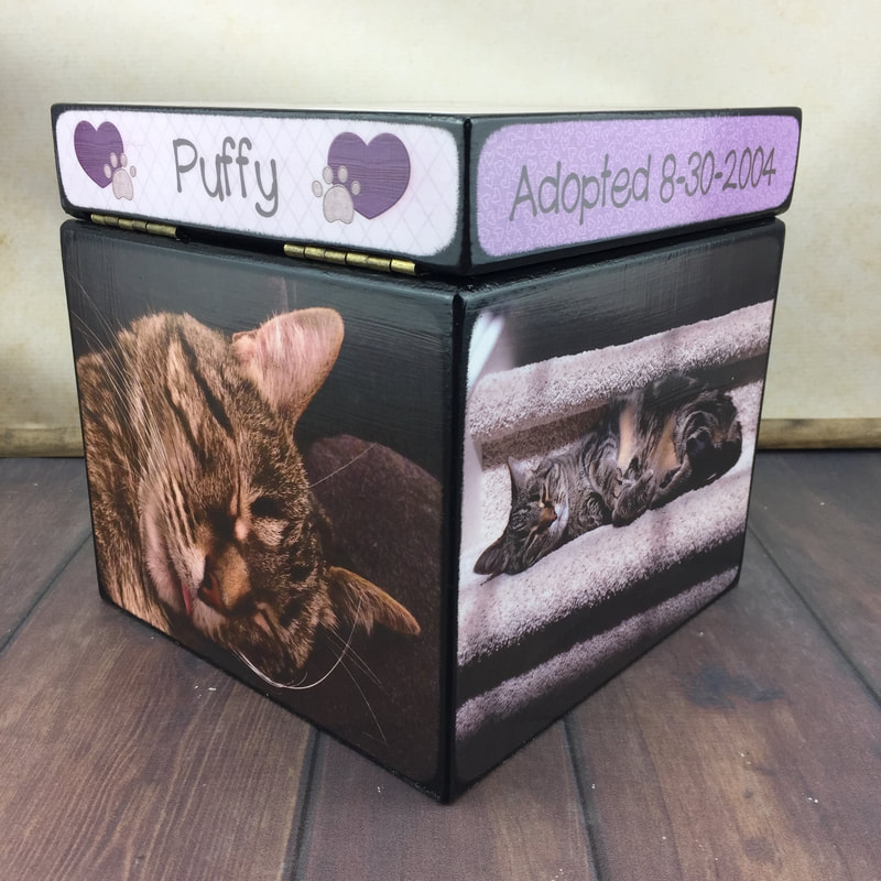 cat urn with photo