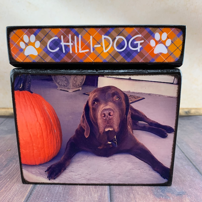 Pet photo urns for ashes