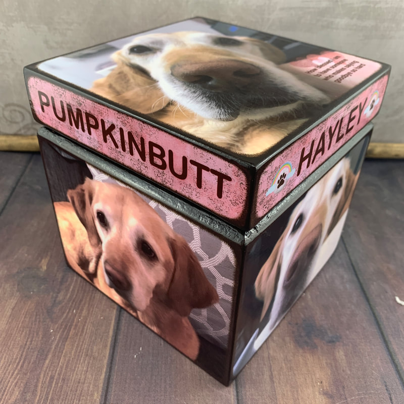 dog urn with picture