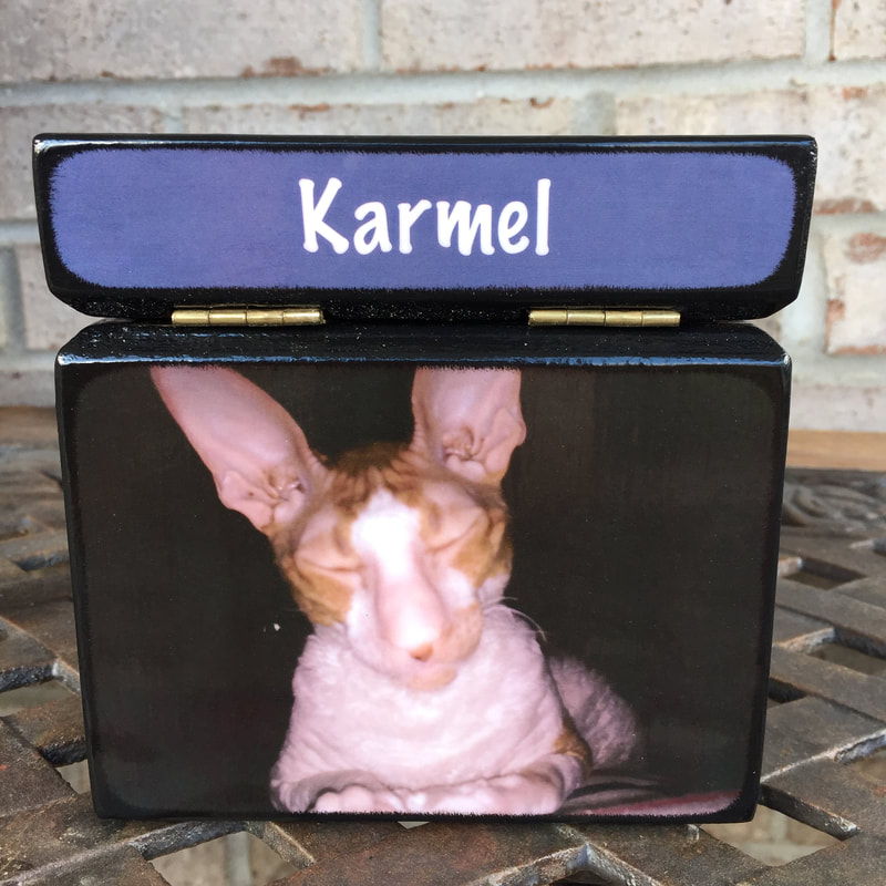affordable pet urns for cats