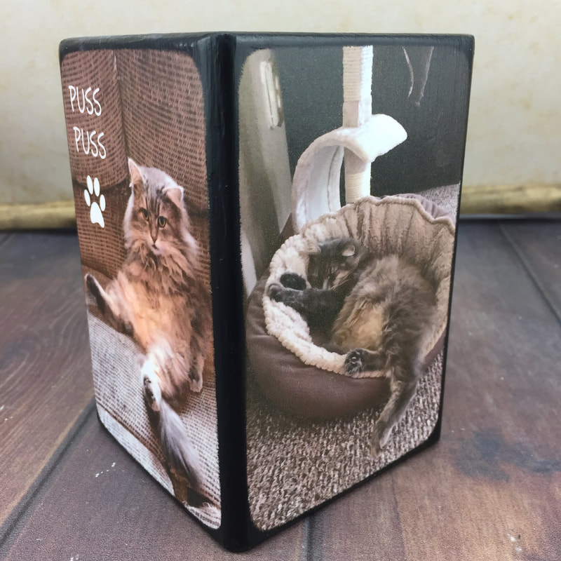 unique gifts for cat owners